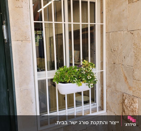 חלון עם סורגים לבנים ועציץ תלוי
